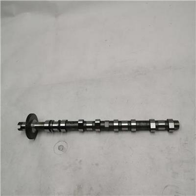 Fits Foton PV10002202 Intake Camshaft Assembly
