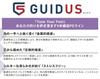 GOSEN GUIDUS PE×9 300m 3 purple