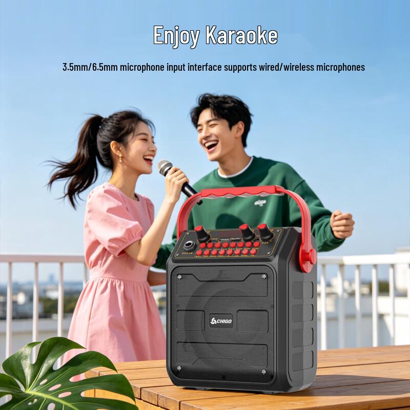 CHIGO Portable Bluetooth K-Song Speaker (CN version)