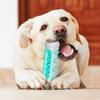 Bite Resistant Dog Toothbrush Non-slip Dog Teething Bones Rod Puppy Cleaning Toy  Pet Gift
