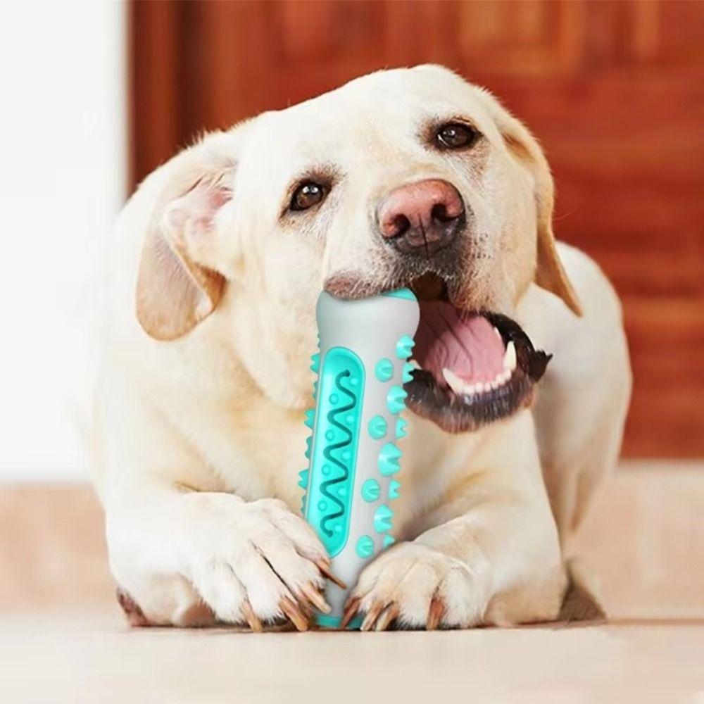 Bite Resistant Dog Toothbrush Non-slip Dog Teething Bones Rod Puppy Cleaning Toy  Pet Gift