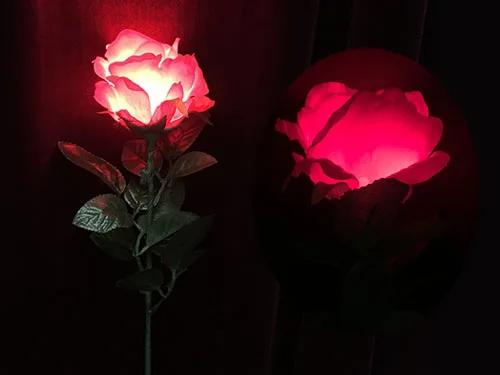

Super Light Rose (Rechargeable, 2 Colors) -Magic Tricks props Appearing Vanishing Magica Stage Gimmick Accessories Comedy