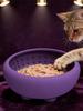 Slow Feeder Cat Bowl Silicone Non-Slip Pet Dishes with Strong Suction Cup Dog Puzzle Feeder for Puppy Medium Pet Drinking Eating
