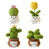 Crochet Cactus Potted Plants, Handmade Knitted Cactus for Home Office Car Decoration, Decorative Plants for Lasting Beauty, Gift for Women Family