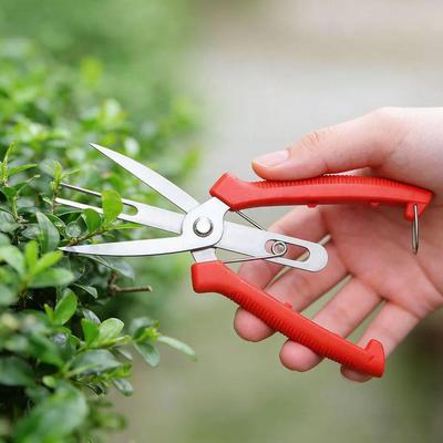 Double-Port Fruit And Flower Thinning Shears Garden Pruning Shears Garden Tools Hand Tools Scissors