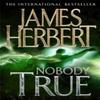 Nobody True by James Herbert Paperback Book 9780330522069