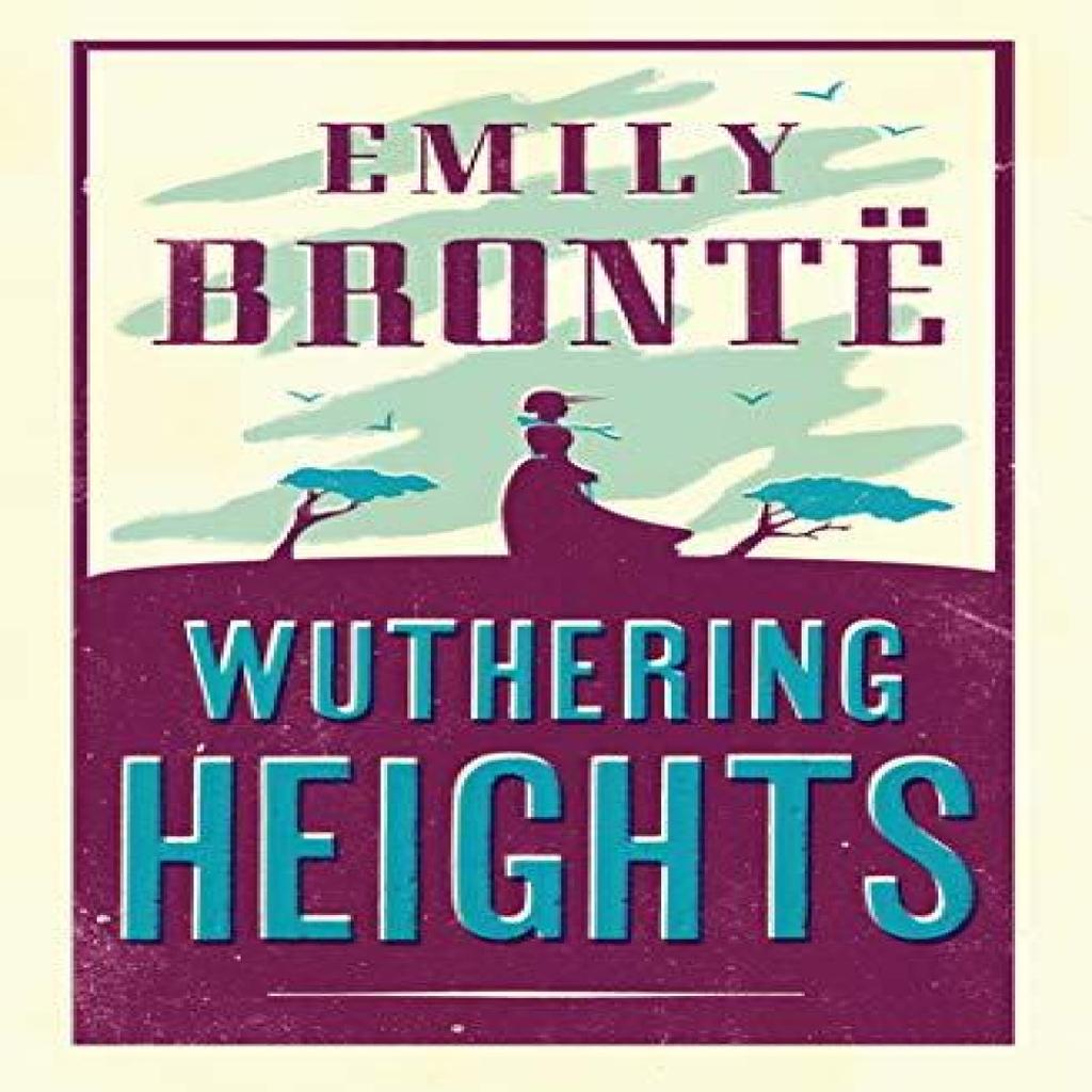 Wuthering Heights by Emily Bronte Paperback Book 9781847493217