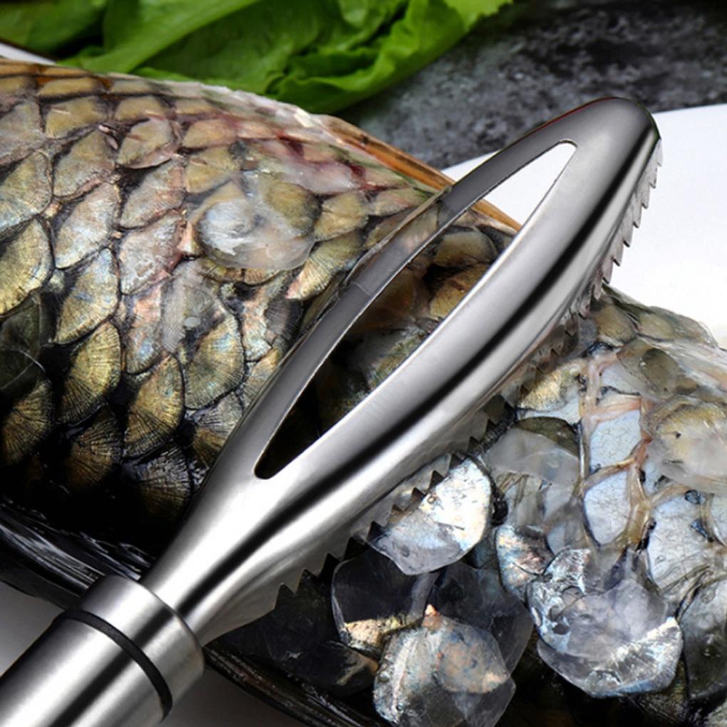 304 Stainless Steel Fish Scale Remover Fish Cleaning Fishing Scaler