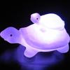 Lovely Turtle Animal Colorful Light Christmas Night Home Decor Party Gift Kids