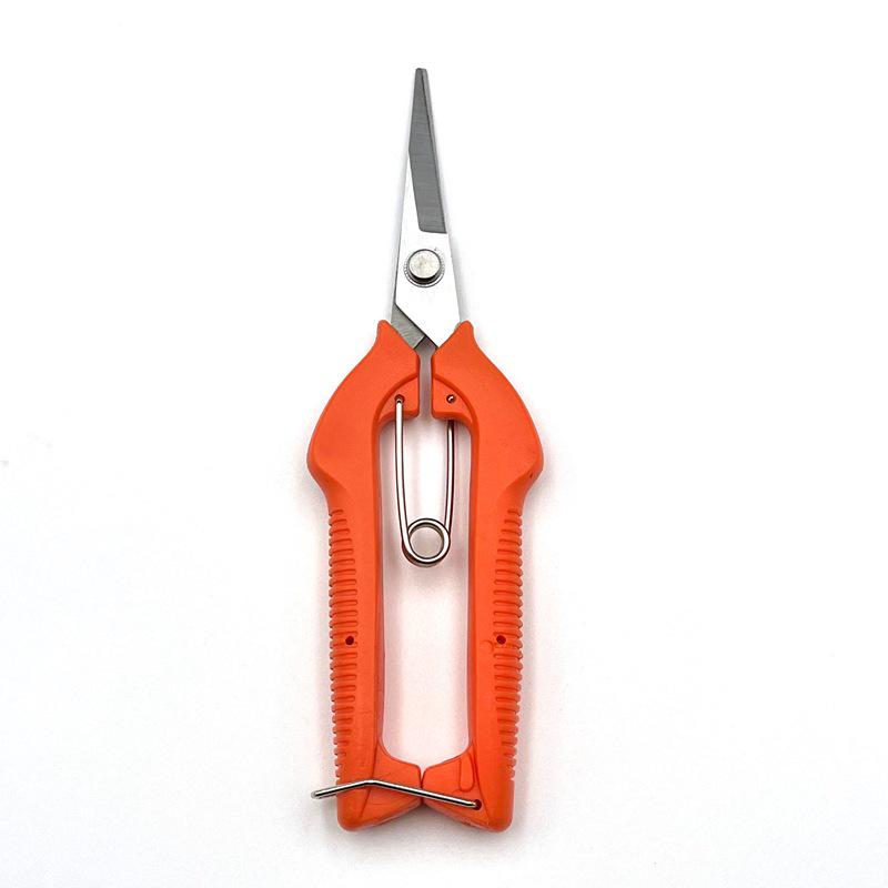 

Grape and Flower Arranging Pruning Shears – Ideal for Fruit Picking and Gardening