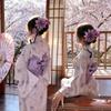 Dámské japonské kimono a yukata šaty pro formální fotografování