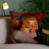 Anime M-My Hero Academia H-Hawks Pillow Case Anti-Dustmite Invisible Zipper Sofa Bed
