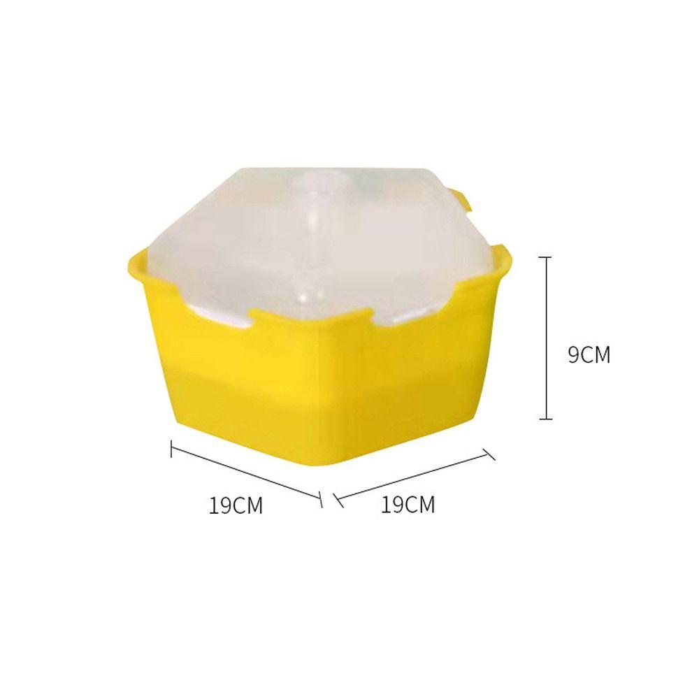Horticultural Tool Sprouts Growing Tray Convenient Sprout Planting Helper Sprouting Tray Multi functional Reusable
