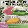 Resin Parrot Claw Grinding Perch Leaf Shape Wear-resistant Parrot Biting Stand Screw/Suction Cup Stable Parrot Perching Station