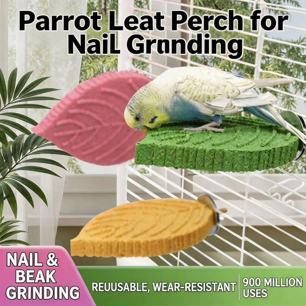 Resin Parrot Claw Grinding Perch Leaf Shape Wear-resistant Parrot Biting Stand Screw/Suction Cup Stable Parrot Perching Station
