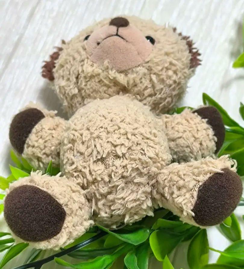 [USED] Sun Arrow Bear Plush Toy Teddy Bear