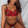 Women's Sexy Lace Bra and Panty Set, Sheer Mesh Floral Embroidery Lingerie, Two-Piece Underwear