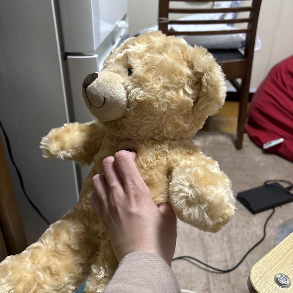 [USED] Teddy Bear Plush Toy