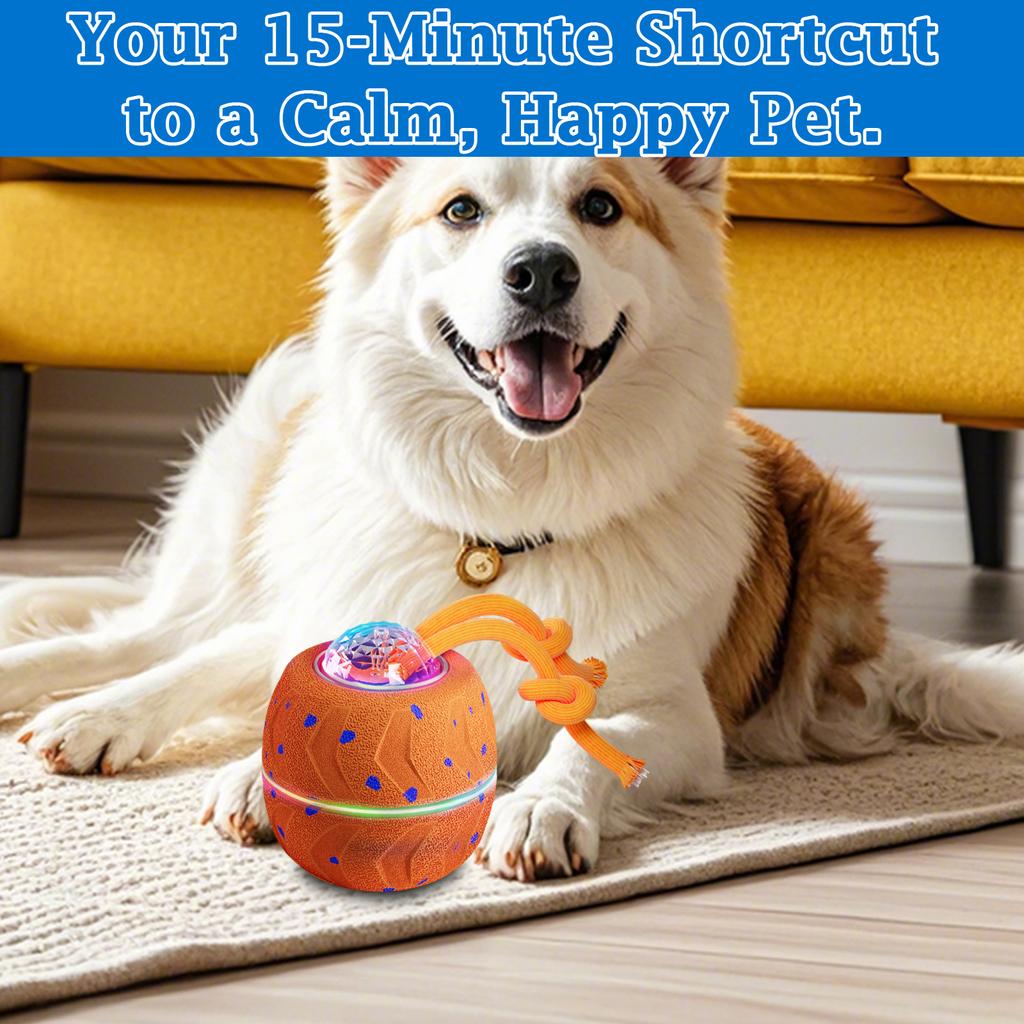 Dog Toy Ball with Random Movement , Bouncing and Spinning Functions for Interactive Play