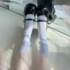 Women's White Lace Mesh Knee-High Socks - Summer Thin, Striped, Mid-Calf, Japanese Style
