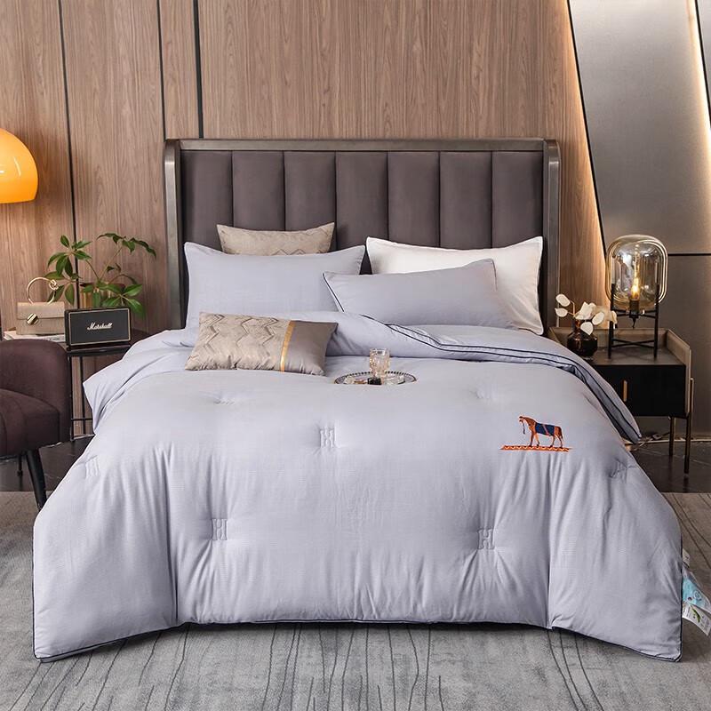 

Yiyiai Premium Soft Embossed All-Season Quilt