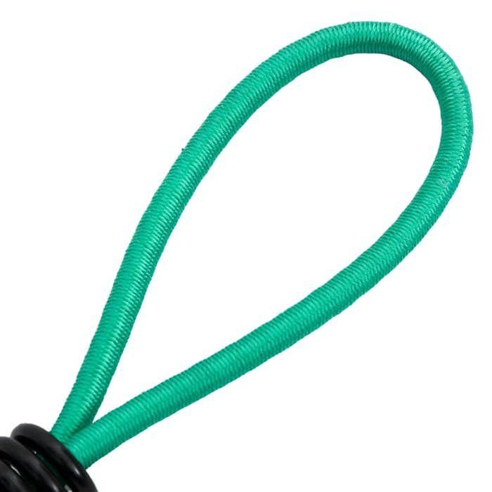 VidaXL Cordes élastiques avec crochets 20 pcs 15 cm 4012229
