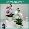 Butterfly Orchid Faux Flower Plant With Durable Material For Interior Decoration And Photo Prop