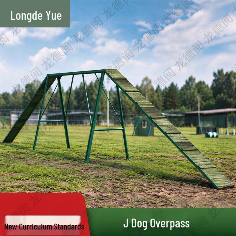 Longdeyue K9 Agility Training Equipment Set