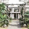 210cm Decorative Metal Garden Trellis Arch with Durable Steel Tubing & Elegant Scrollwork, Great for Weddings, Dark Gre
