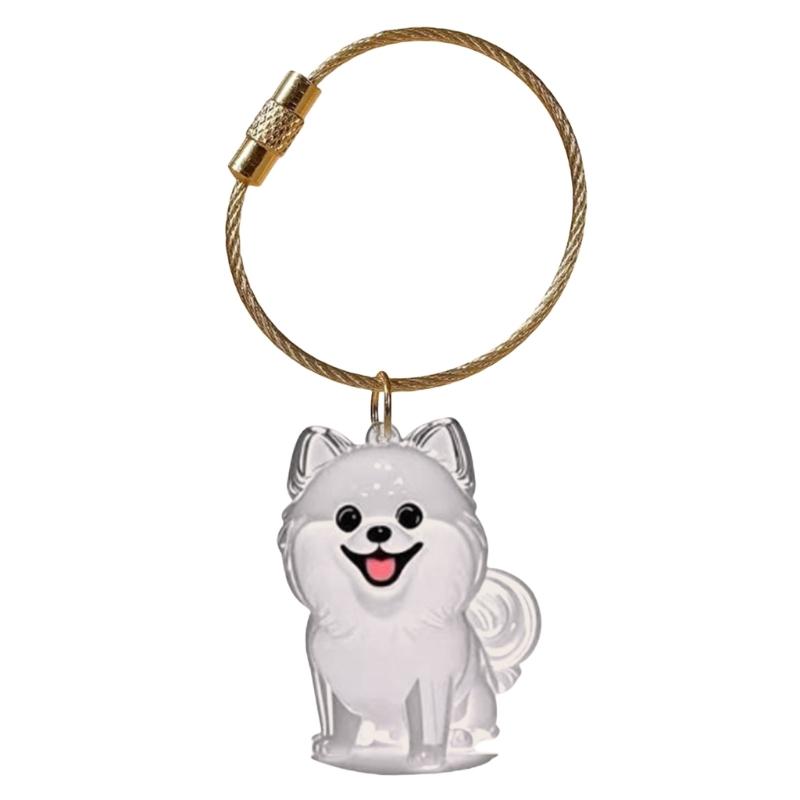Elegante Chaveiro Memorial para Perda de Animal de Estimação Apresenta Compartimento Visível para Armazenamento de Pelos e Chaveiro Durável para Caixa de Pelos de Animal de Estimação