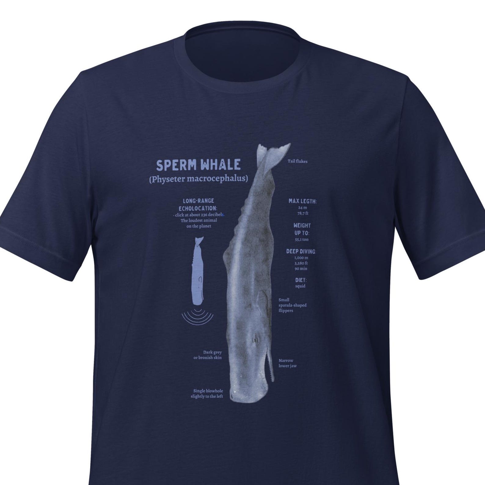 Minimalist Sperm Whale T-Shirt | Bella+Canvas Tee S