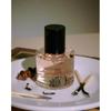 Anillo Pflegende HaarEssenz Schwarzer Tee 50ml