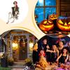 Skeleton Decor Posable Halloween Pirate Skeleton Spooky Decor For Garden Yard Haunted House Party Front Porch School Photo