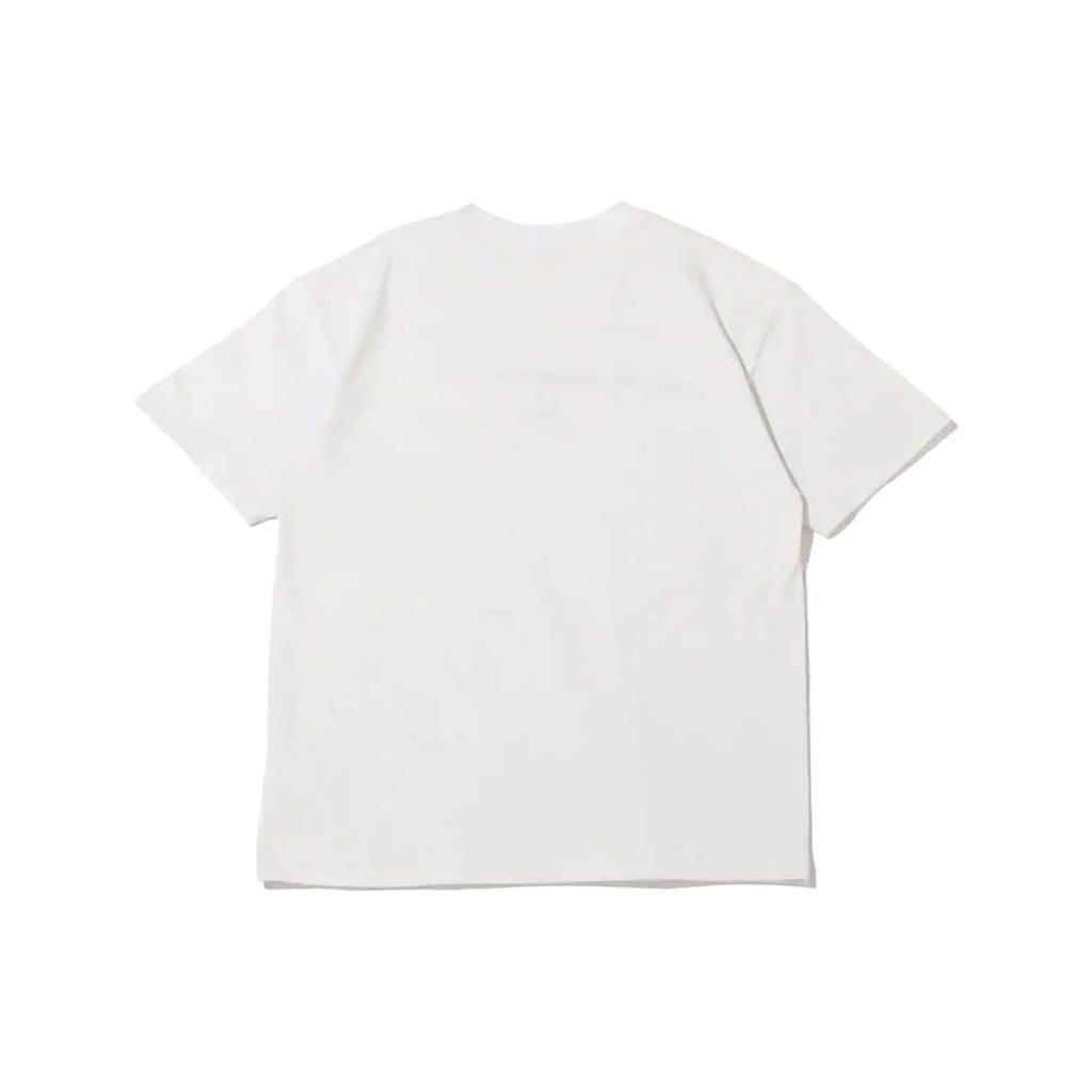 Nike ACG Short Sleeve Graphic T-Shirt Men Tops Light-Iron DQ1816-012