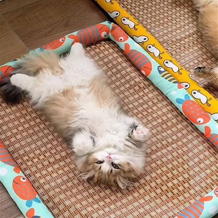 Rattan Cat Bed with Cooling Ice Pad - Four Seasons Universal Cat Nest