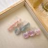Clip Acetic Acid Female Barrettes Korean Style Hairpin Hair Accessories Three Cat Hair Clip