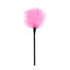Feather Paddle SM Toy: Erotic Flirting Feather Brush Stick for Adults