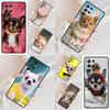 Niedliche Chihuahua Hund Handyhülle für Samsung Galaxy S26 Ultra S25 S24 S23 S22 S21 S20 Note10 Hülle