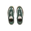 Li Ning Skategeneral Pin Collaboration Series Support Stable Skateboard Professional Low-Top Skate Shoes Men Skate Shoes Garden-Green AEPT013-1
