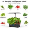 6 Hole Plastic Contemporary LED Herb Vegetable Light Kit Self Watering Eco-Friendly Hydroponic Flower Pot Growth System Garden