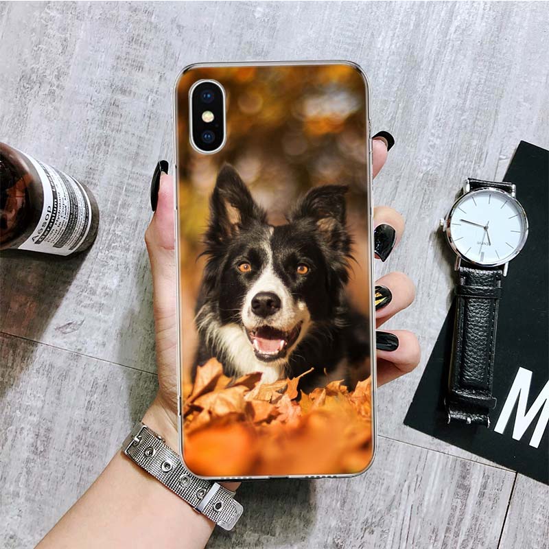

Чохол для телефону Border Collie Clever для iPhone 11 12 13 14 Pro XS XR X Max 7 8 6 6S Plus Mini + 5 SE Pattern Customized Coque Cover iPhone 7 (8)