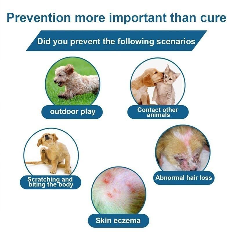 Nový Bayer Seresto obojek proti blechám a klíšťatům pro psy a kočky, všechny váhy a velikosti, 8měsíční ochrana