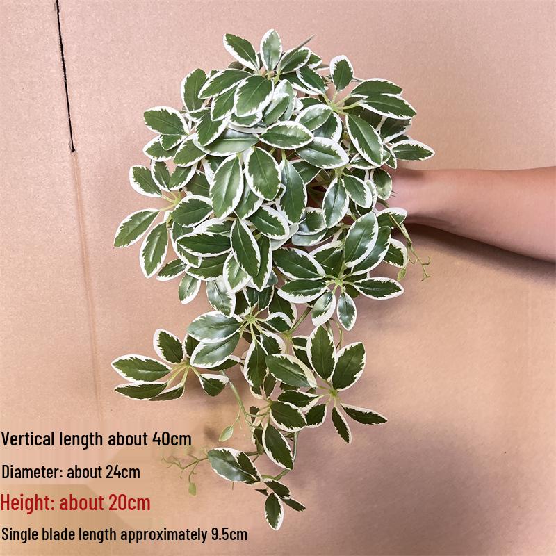 Wandmontierte Monstera-Ranke für die Innendekoration: Hängende Efeutute und laminierte grüne Zweige