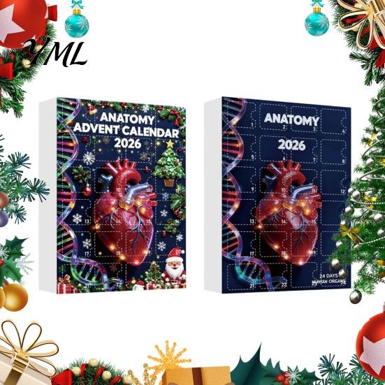 Innovative Gift Box 2026 Anatomy Advent Calendar, 24-Day Body Organ Ornament Set, Human Anatomical Blind Hanging Decor for Christmas Tree, Science