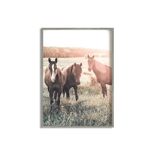 Horse Poster Print Modern Horses In The Field Wall Art HD Picture Canvas Painting Living Room Mural Home Decoration Gift Cuadros