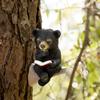 Little Bear Garden Solar Decoration Lighting Creative Outdoor Courtyard Decoration Resin Little Bear Solar Lighting Decoration