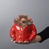 Plant Wenzhu Combination Ceramic Flower Ware European Simple Creative Succulent Flower Pot Interior Decoration