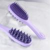 1pc Hair Washing Brush Long Handle Double-Sided Teeth Hair Washing And Combing Dry And Wet Dual-purpose Comb