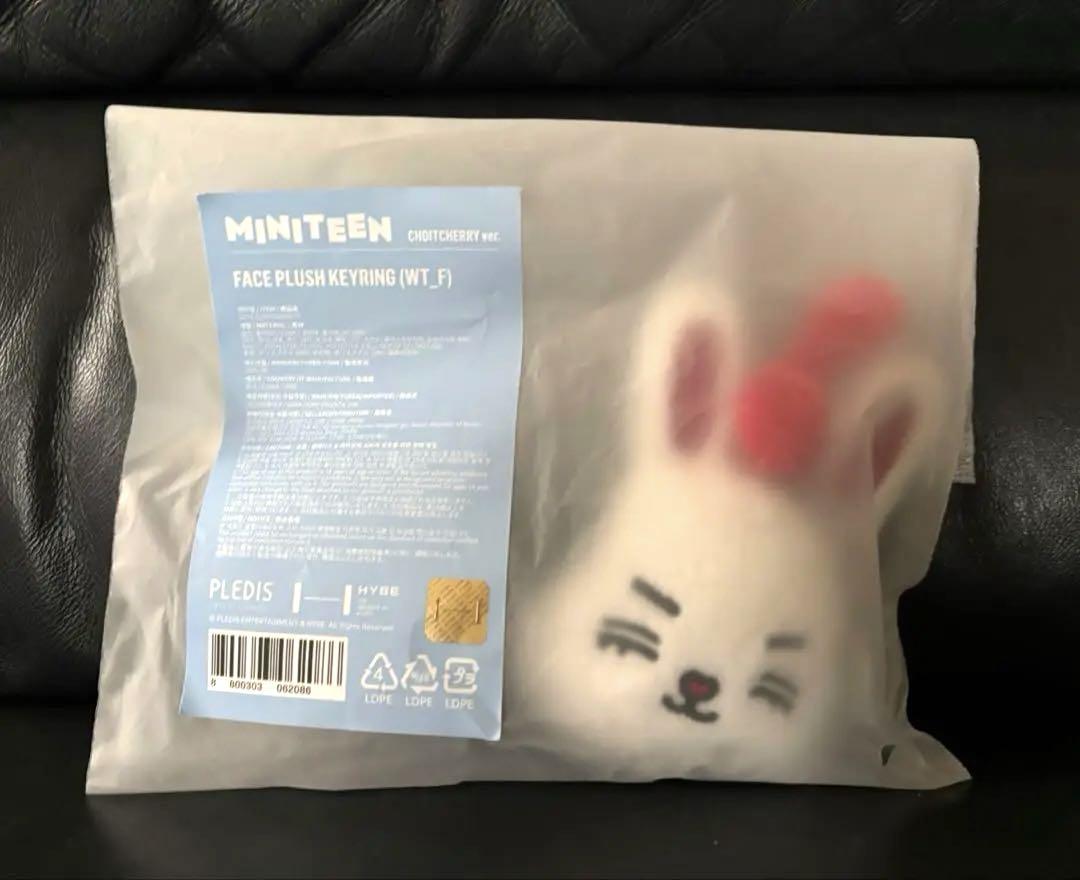 

[USED] SEVENTEEN MINITEEN Key Ring S.Coups