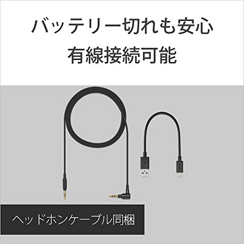 Sony WH-H810 Wireless Headphones Hi-Res Compatible Alexa Built-in Bluetooth 30H Playback Touch Sensor Compact Black WH-H810 BM